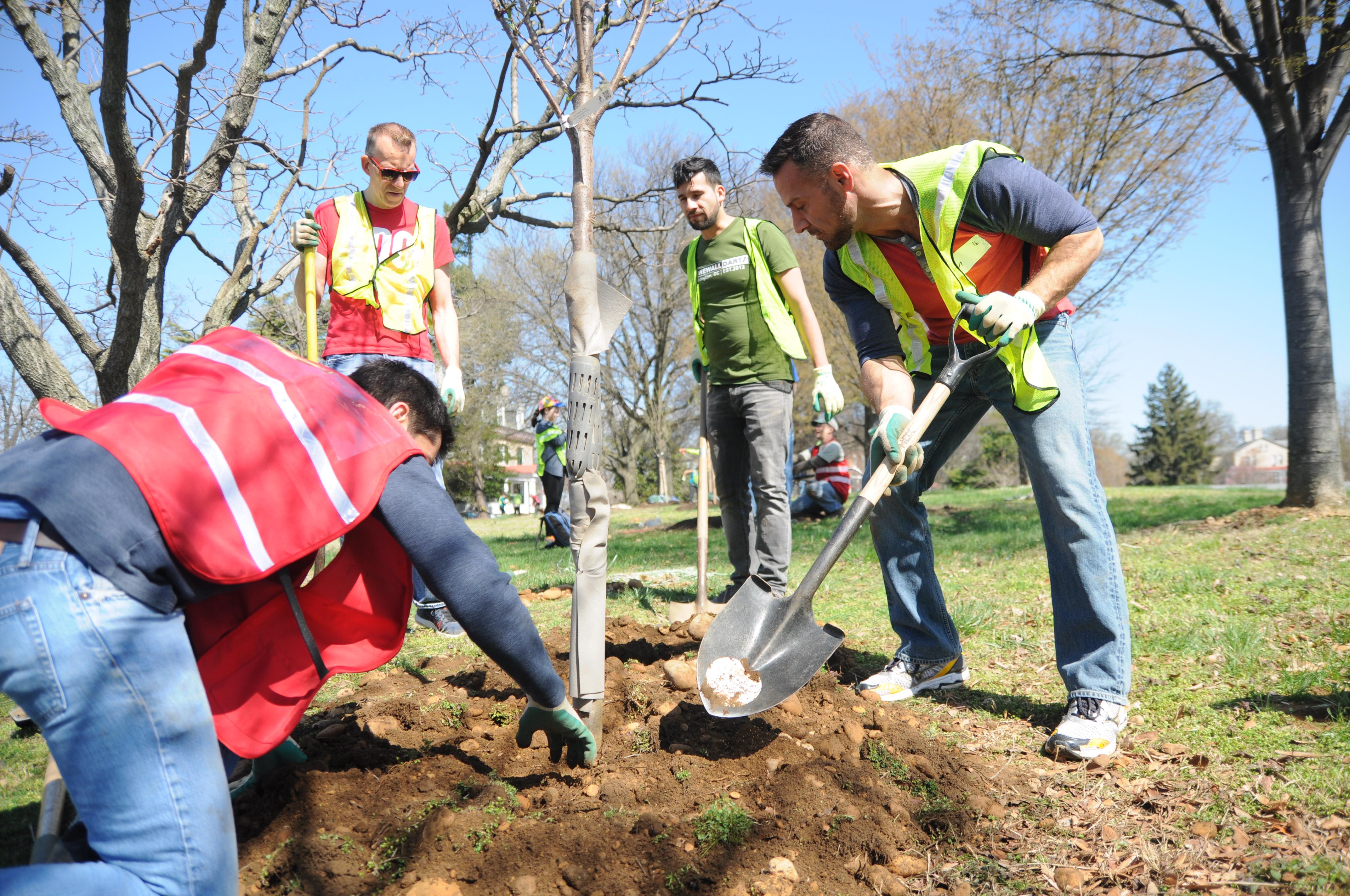 Preparation for Spring Tree Planting